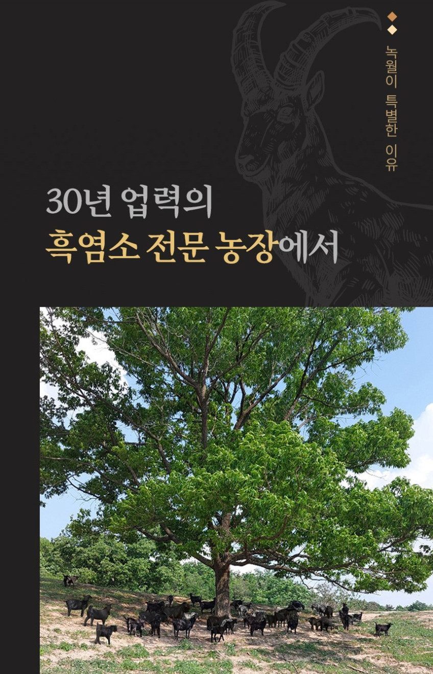 충주 방목장·농장 이야기
